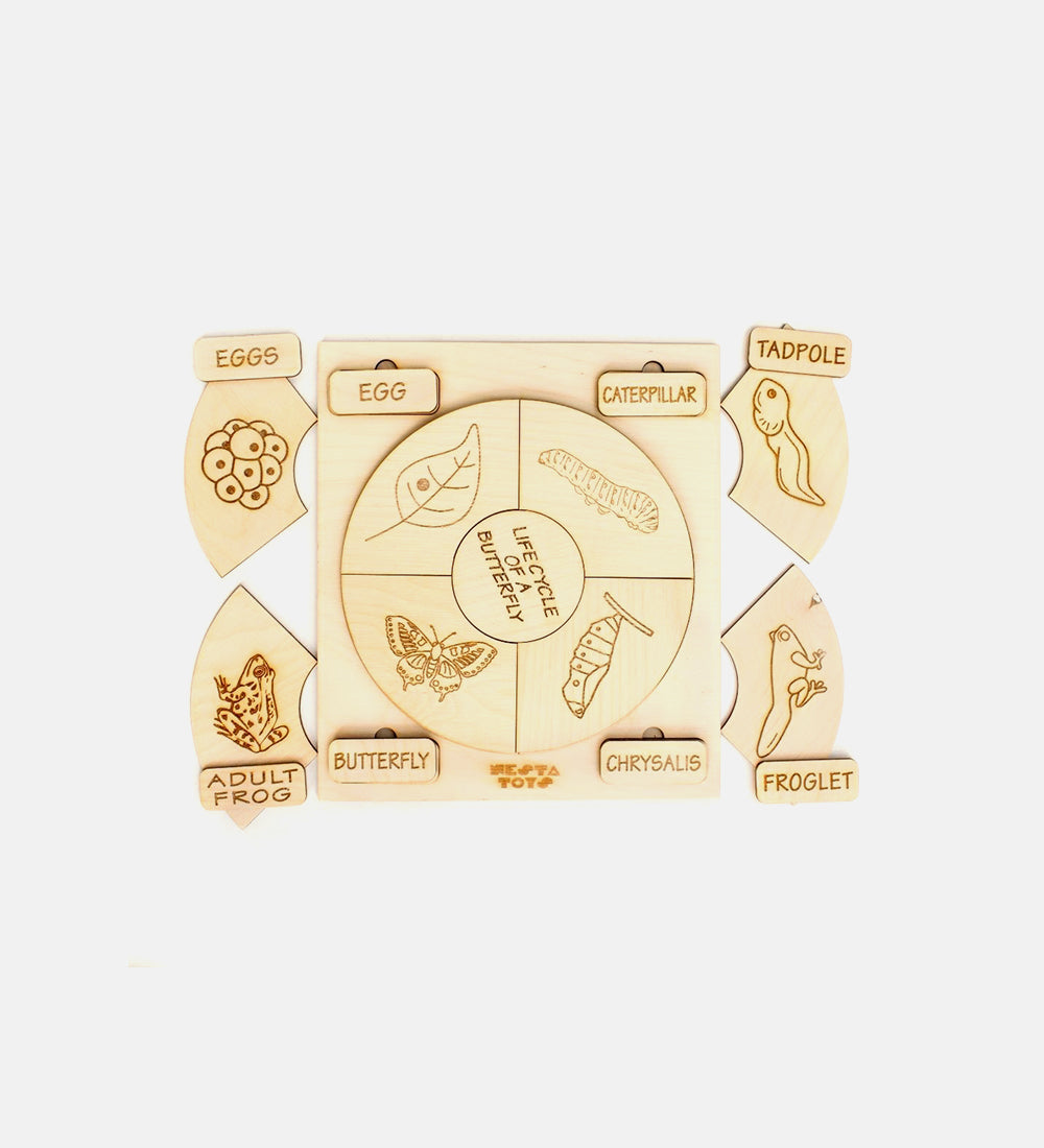 Life cycle puzzle