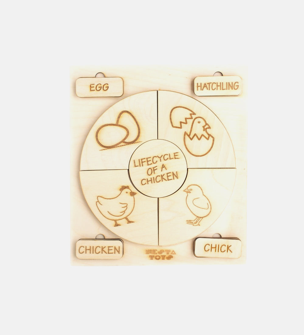 Life cycle puzzle