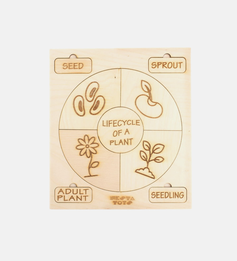 Life cycle puzzle