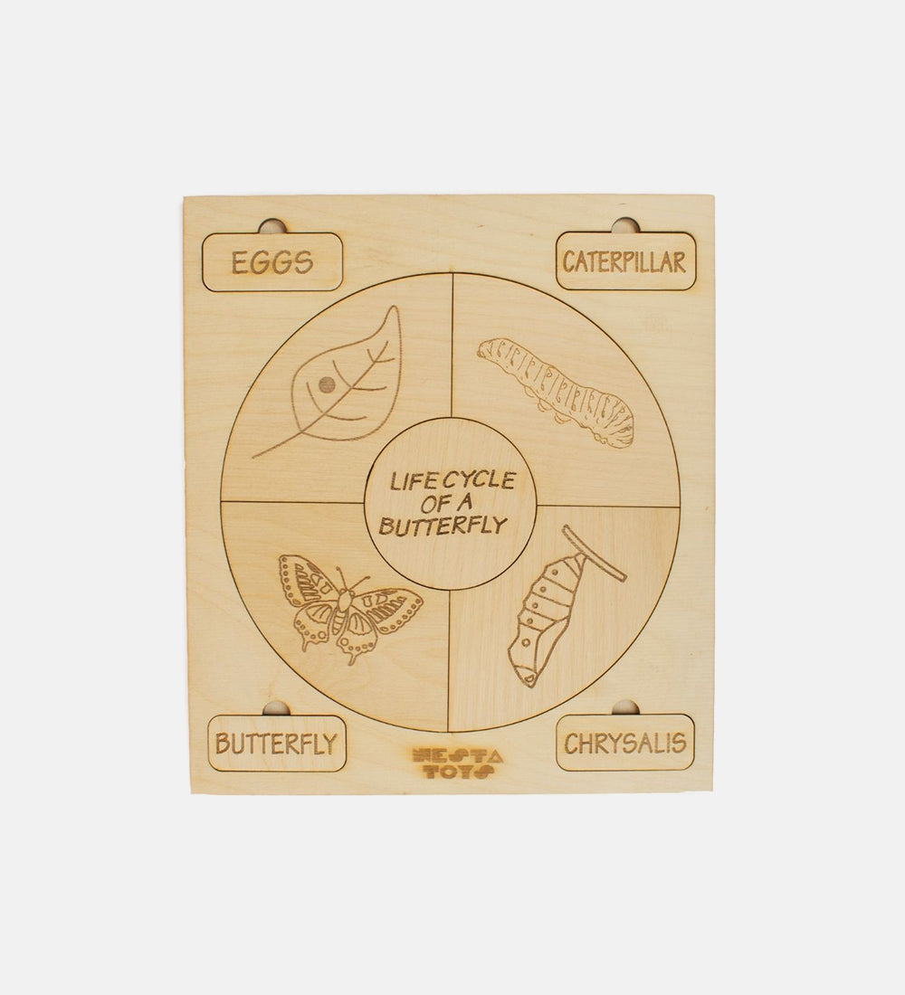 Life cycle puzzle
