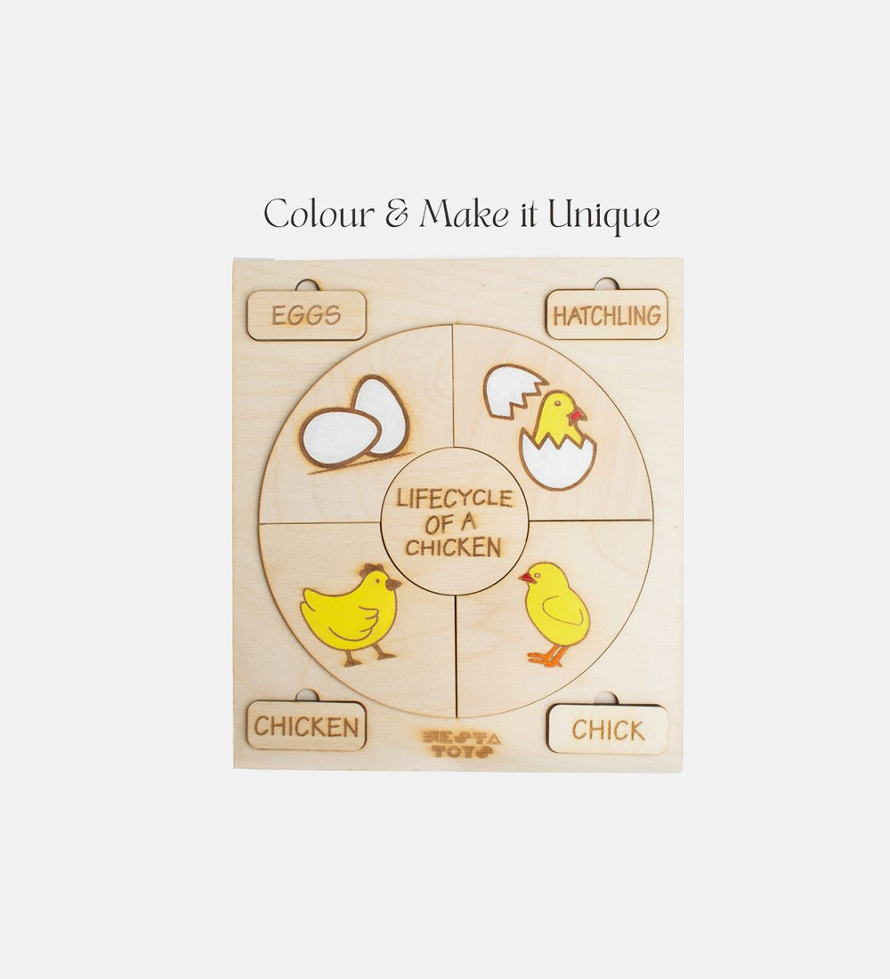 Life cycle puzzle