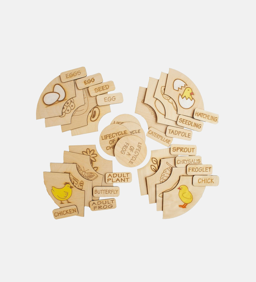 Life cycle puzzle