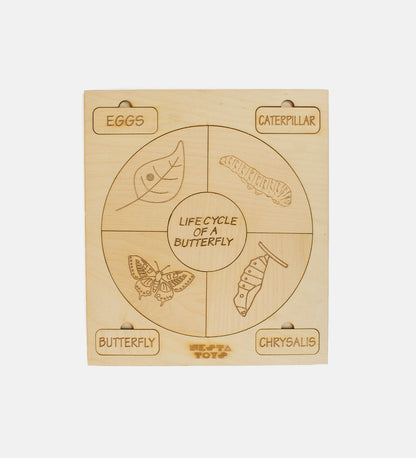Life Cycle Puzzle